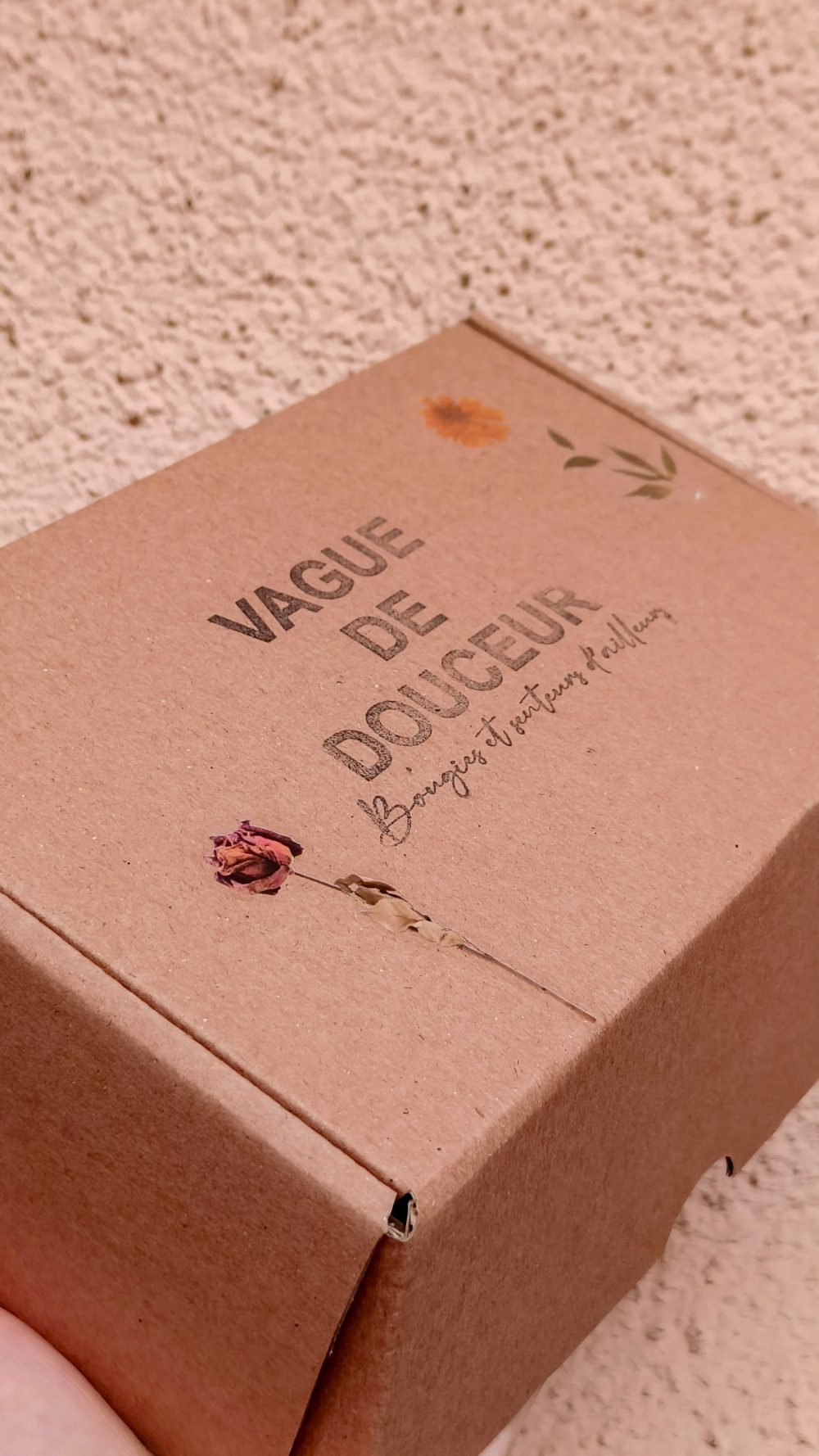 IMG20261012151006 1000x1778